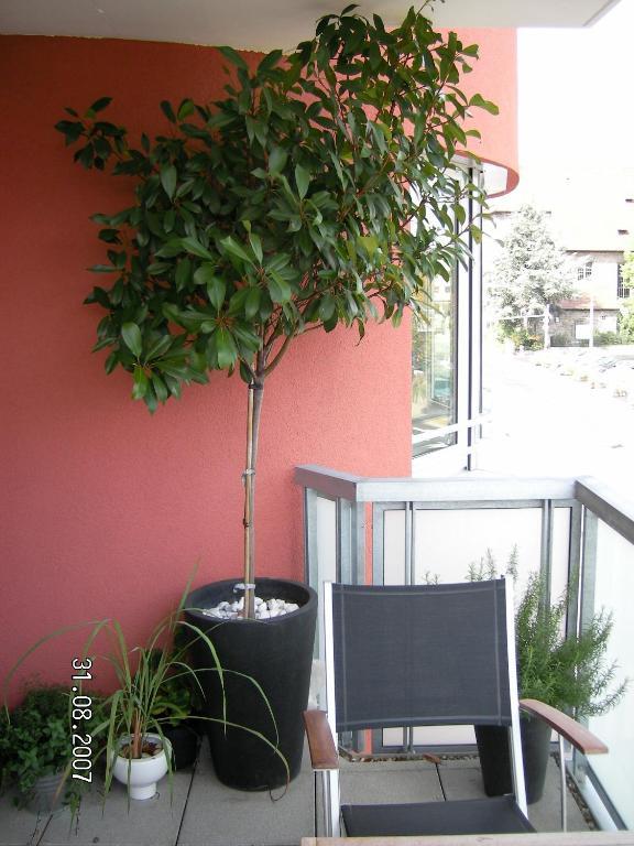 Appartement Am Salamanderpark Kornwestheim Exterior photo